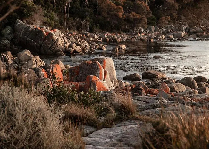 Driftwood Rest Binalong Bay Sleeps 4