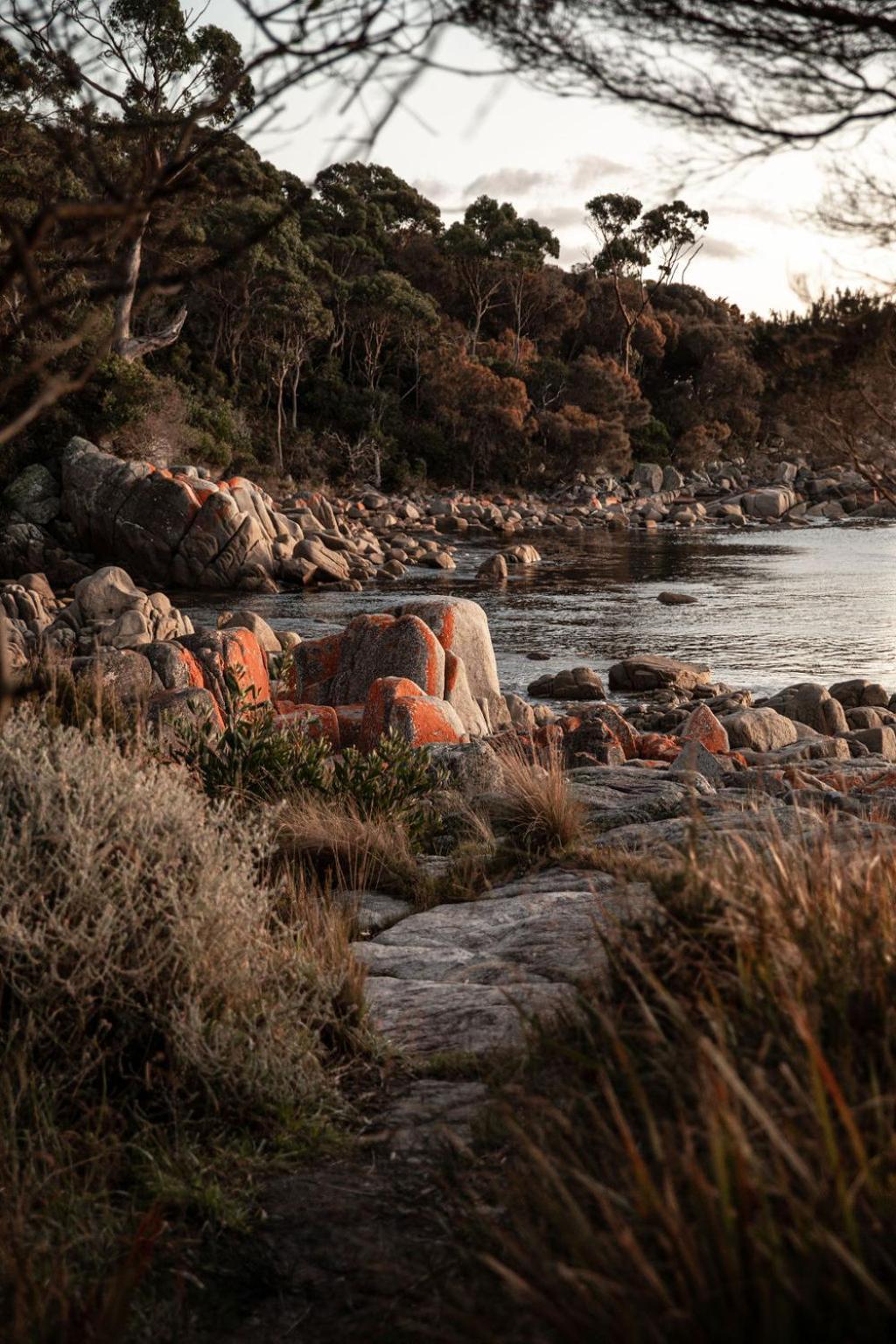 Driftwood Rest Sleeps 4