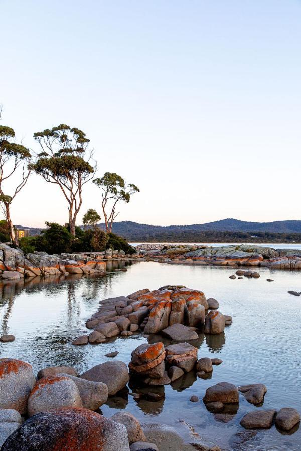 Holiday home Driftwood Rest Sleeps 4 Binalong Bay